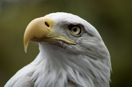 4914617217_bb21bb8f89